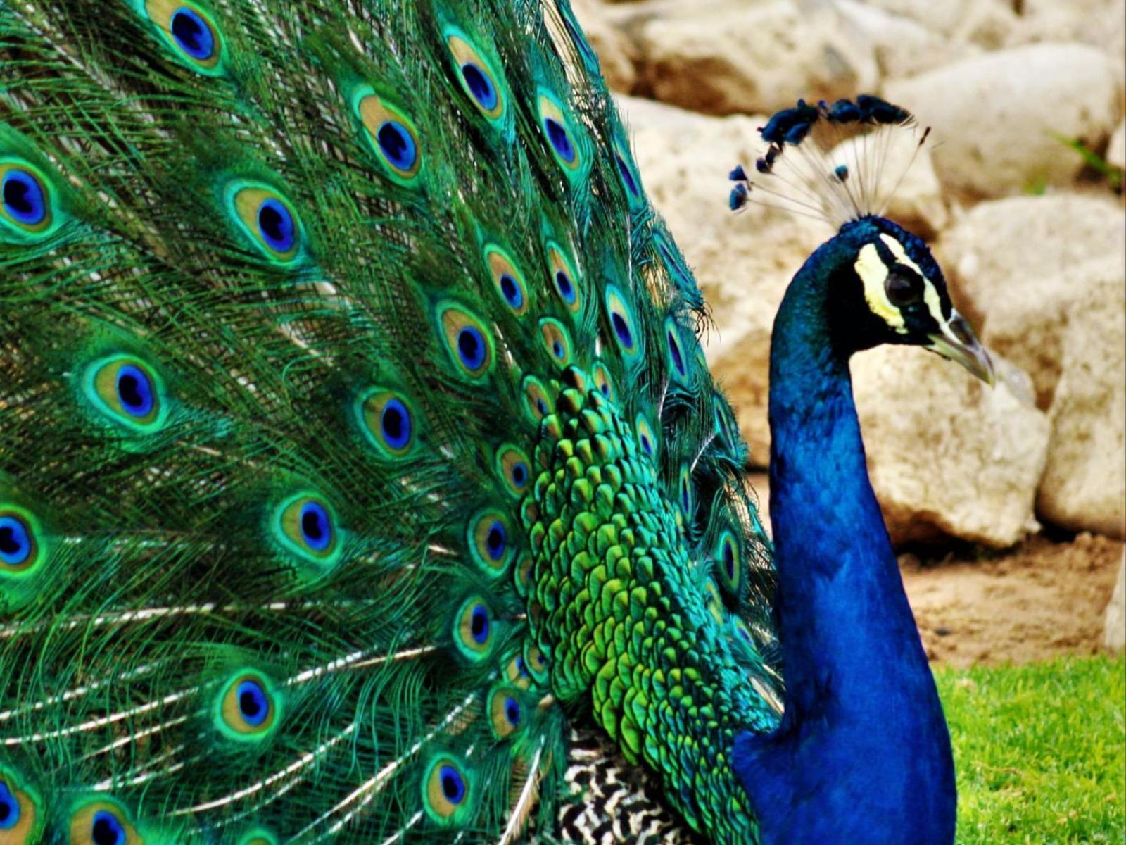 West Nest Lodge Gobabis Экстерьер фото