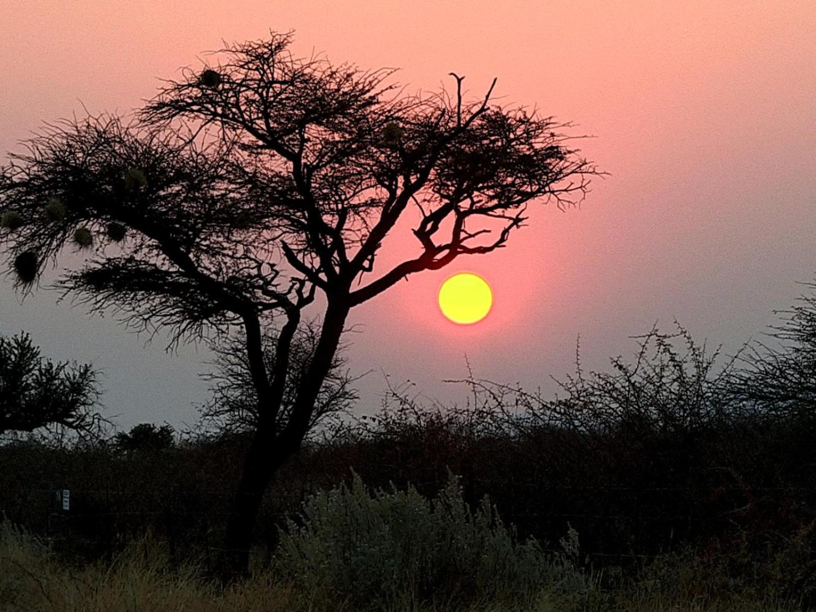 West Nest Lodge Gobabis Экстерьер фото