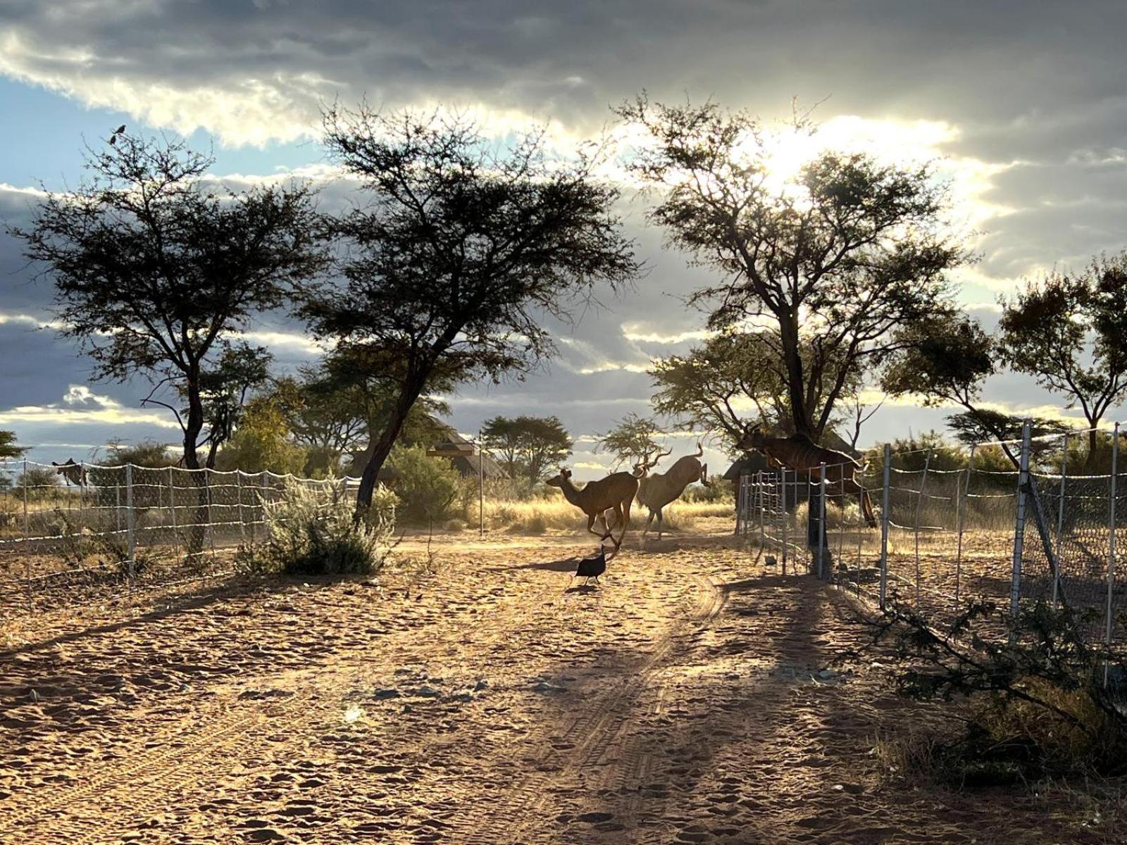 West Nest Lodge Gobabis Экстерьер фото